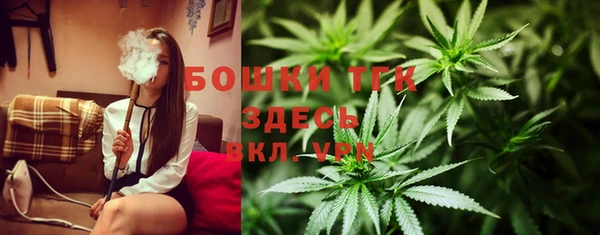 амф Горнозаводск